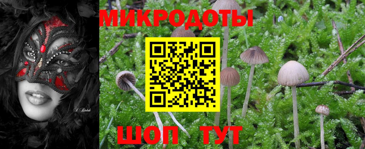 Галлюциногенные грибы мицелий Фрязино